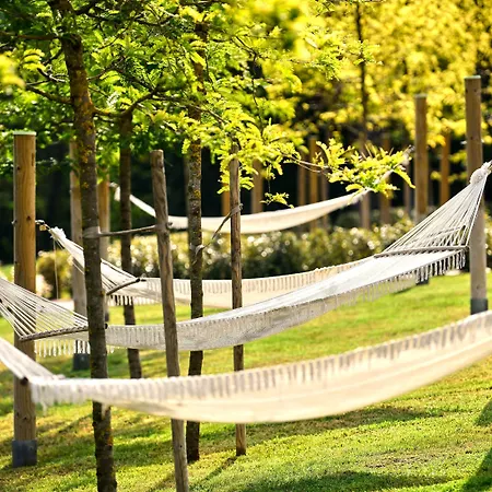 Hotel Mediteran Plava Laguna